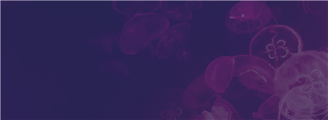 Group Banner Picture